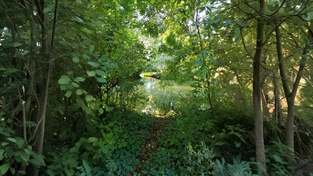 Parco Giardino Tenuta S. Apollonio-Castel Goffredo必去景点