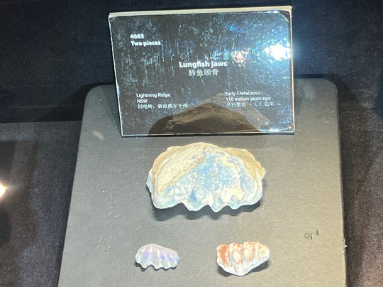 国家澳宝收藏馆-墨尔本必去景点