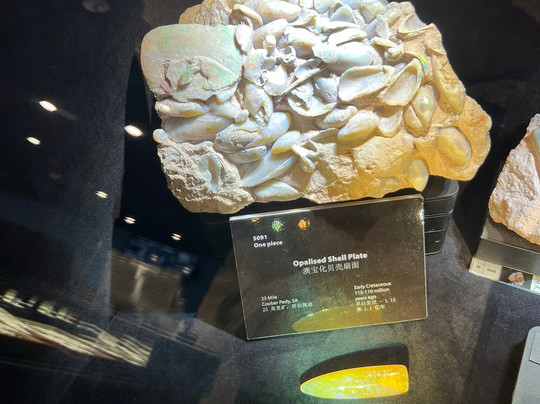 国家澳宝收藏馆-墨尔本必去景点