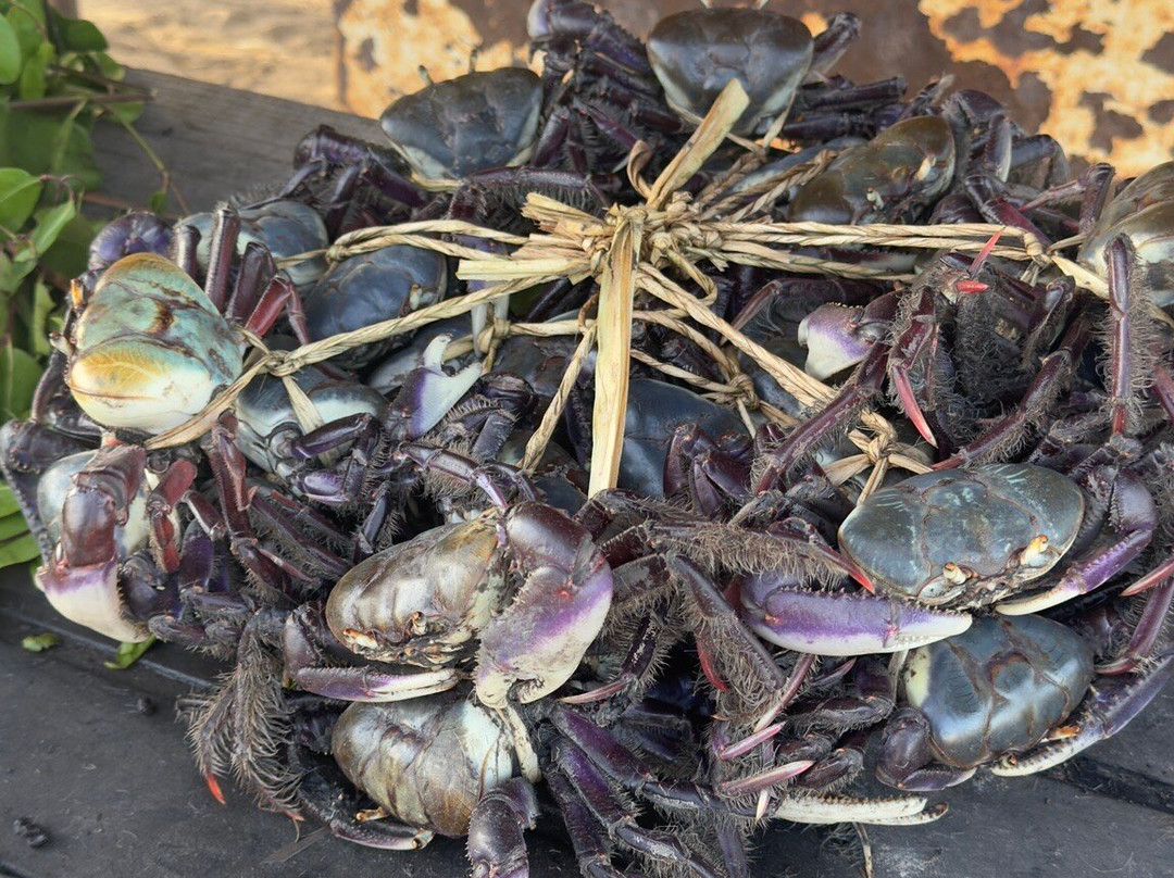 Eco Adventure Tour-Parnaiba必去景点