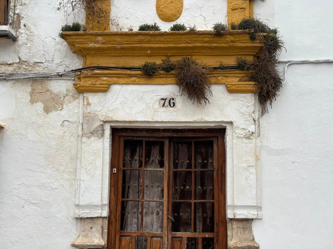 Calle San Pedro-Osuna必去景点