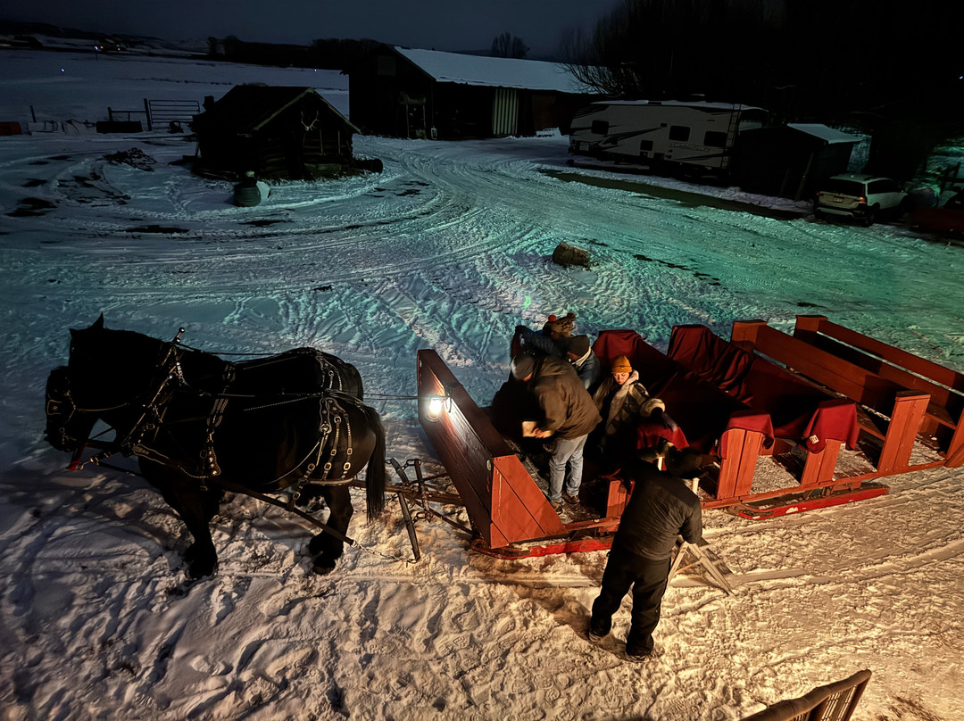 Bar Lazy L Ranch Sleigh Ride-斯廷博特斯普林斯必去景点