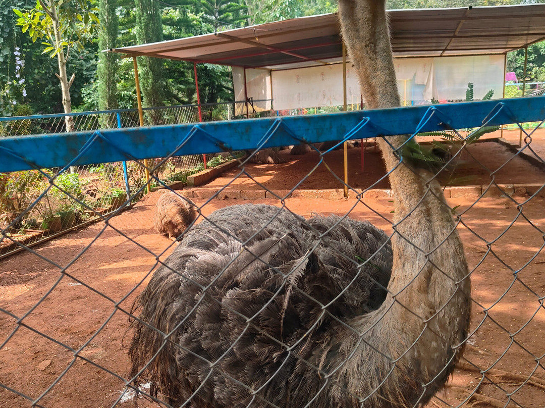 Cloud Forest Entertainment Park-Yelagiri必去景点