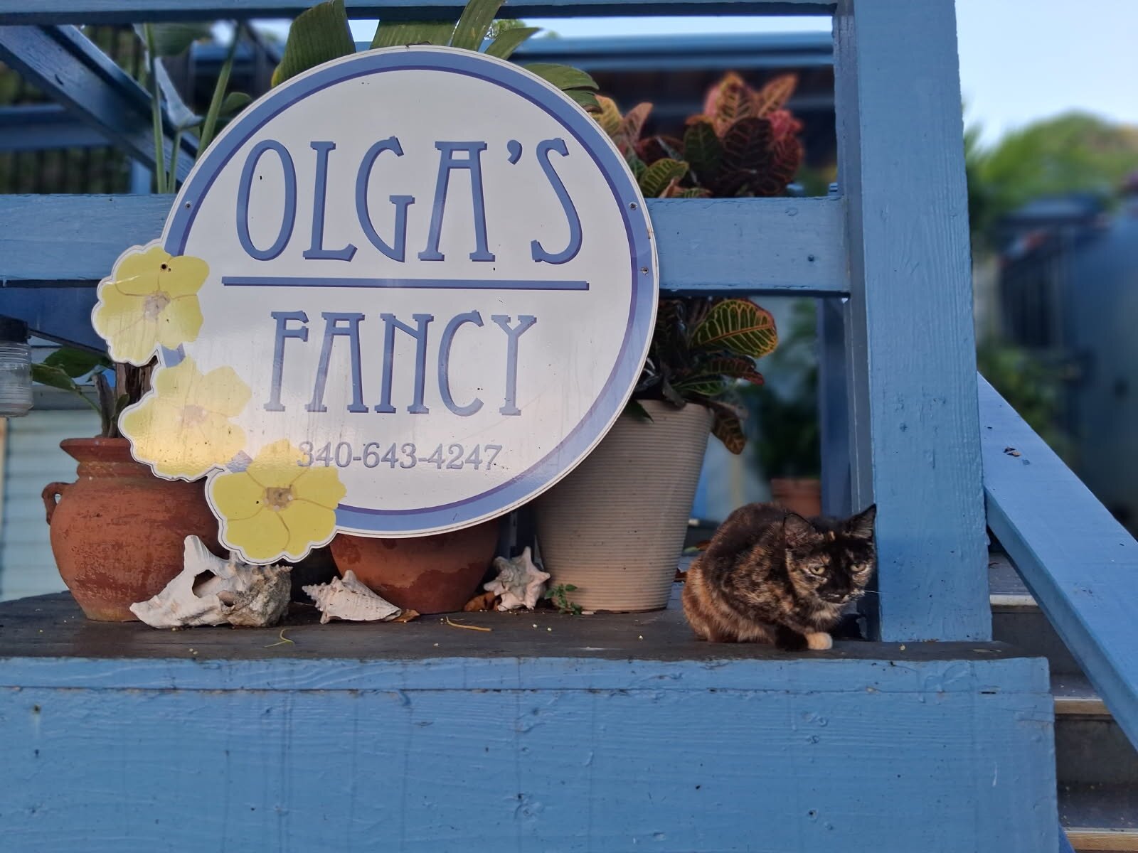 Olga's Fancy-官方