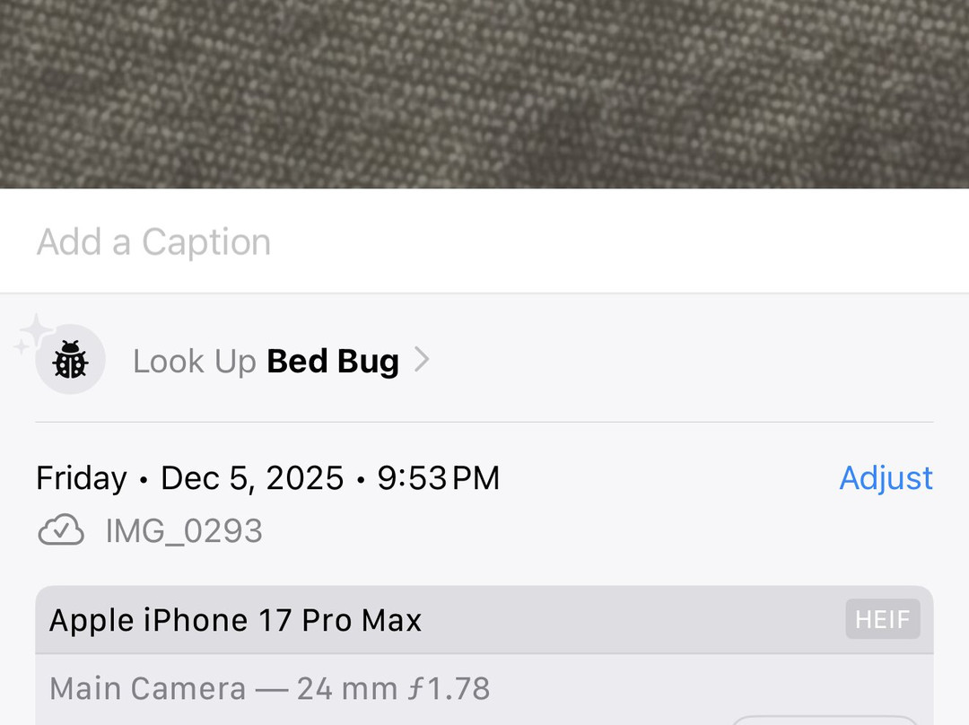 Best Western Plus Atrium Inn主图