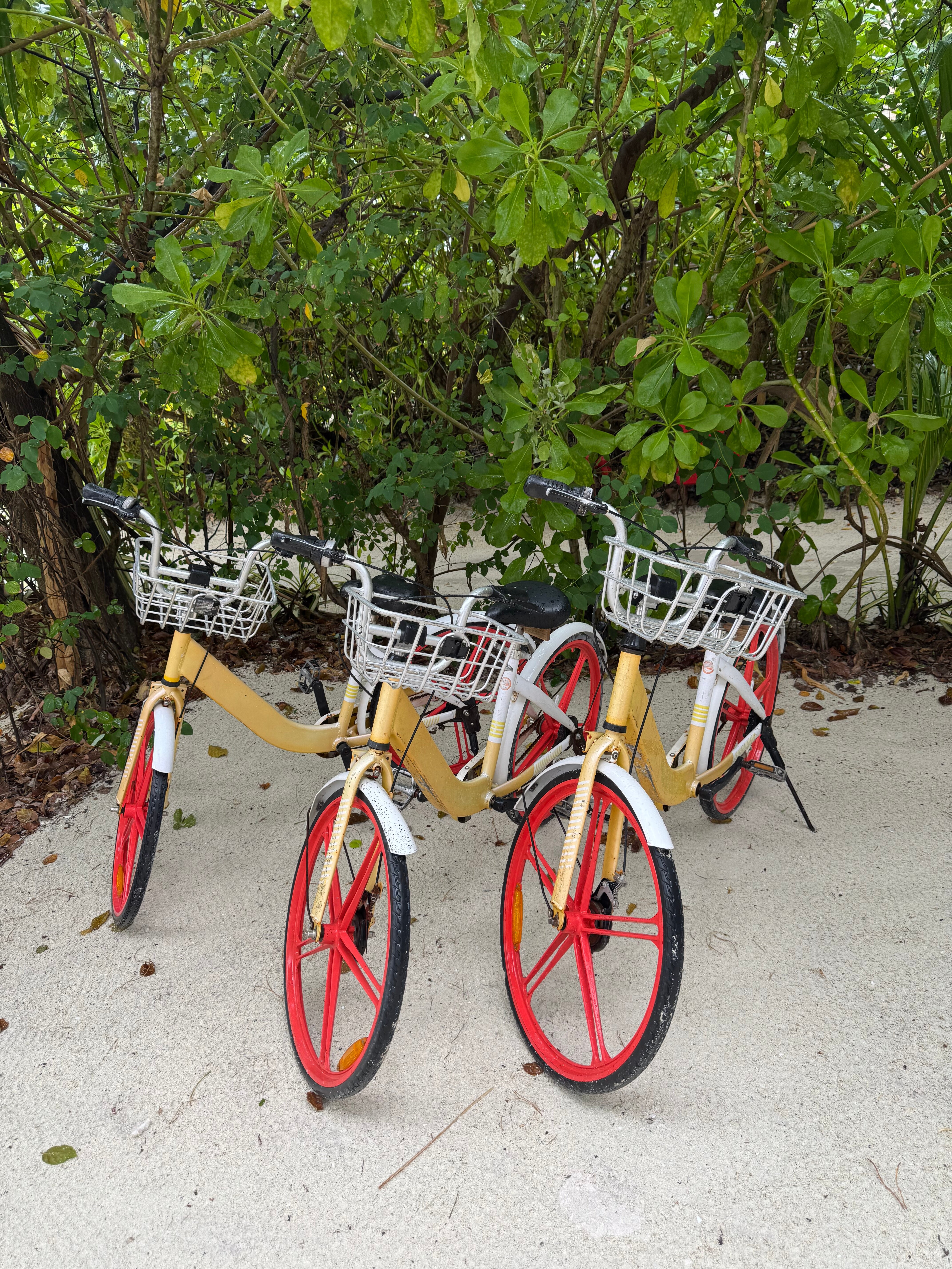 Hard Rock Hotel Maldives-浴室