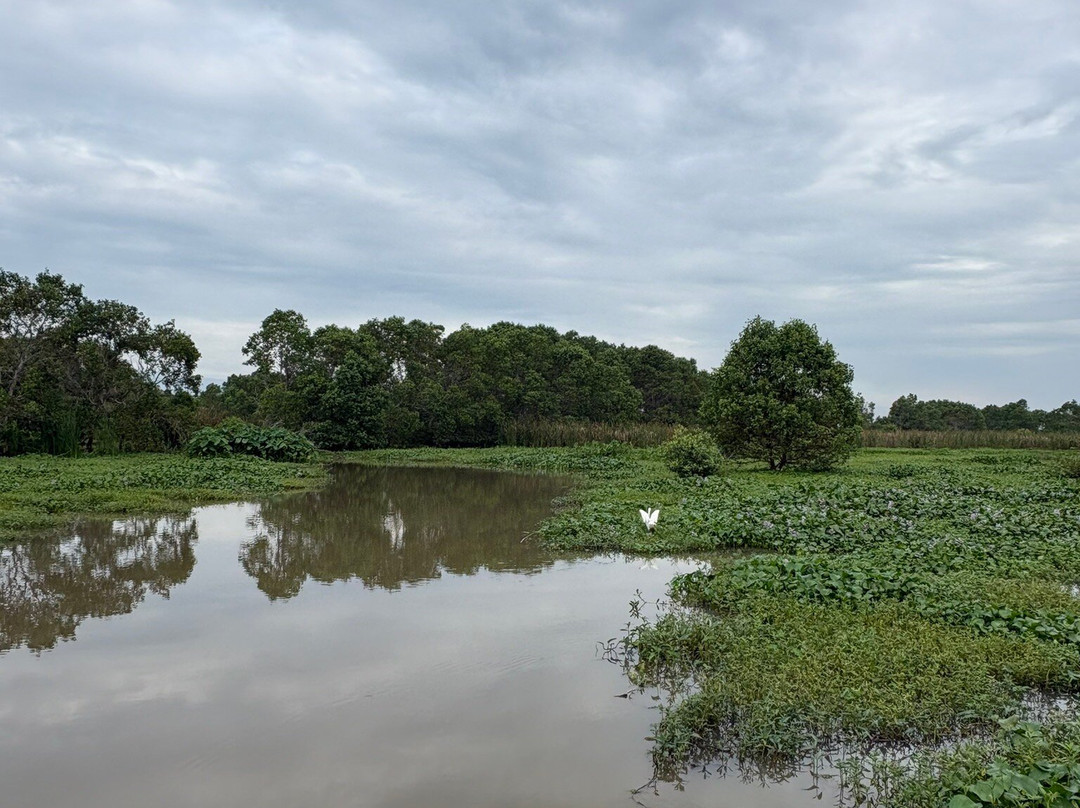 Kalametiya Lagoon Bird Sanctuary & Wetland Park-唐卡拉必去景点