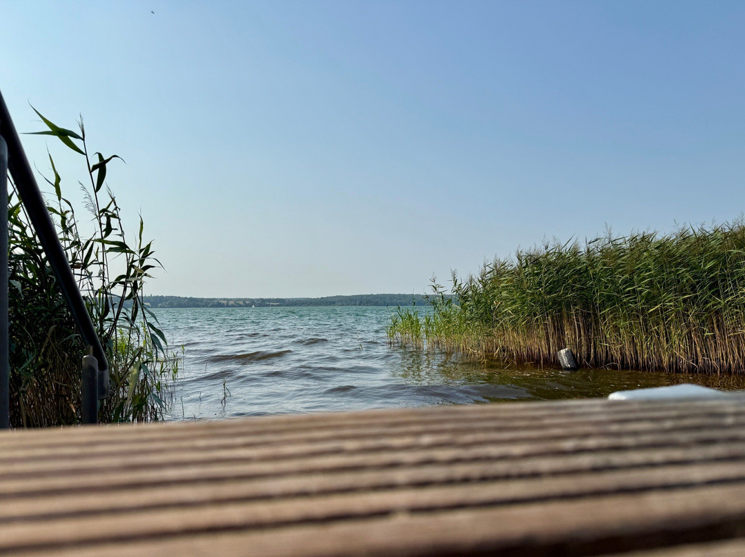 Hotel Bornmühle主图