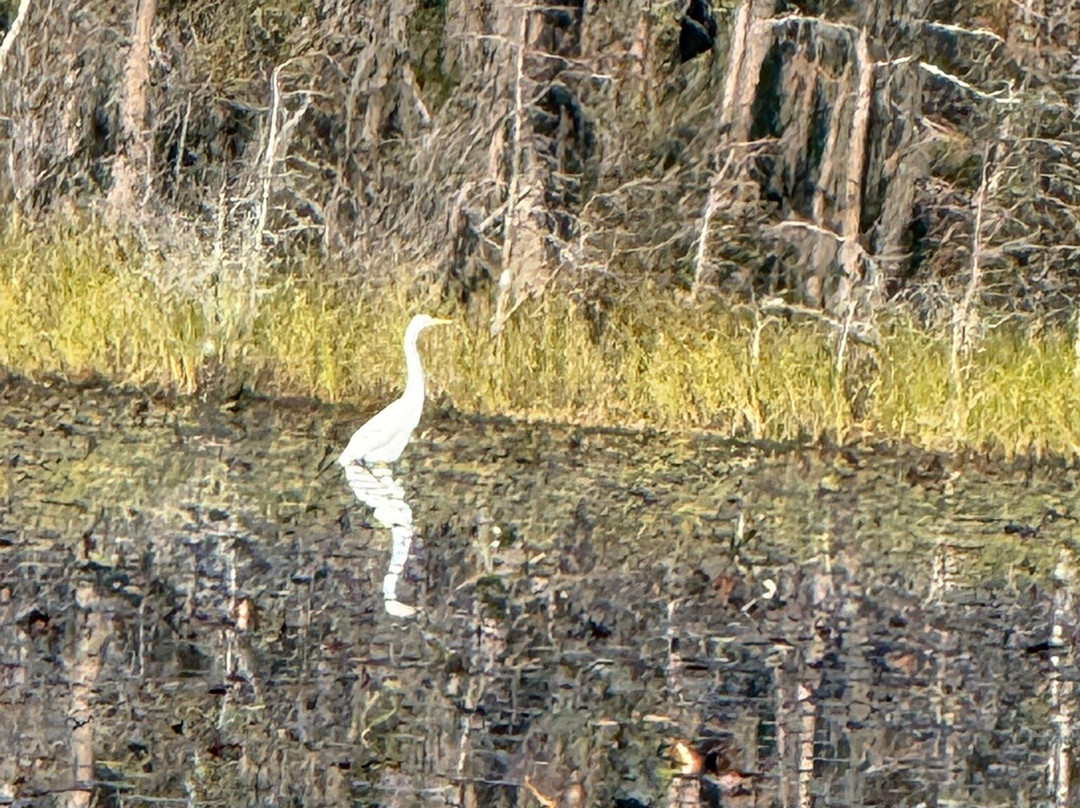 Okefenokee Adventures-Folkston必去景点