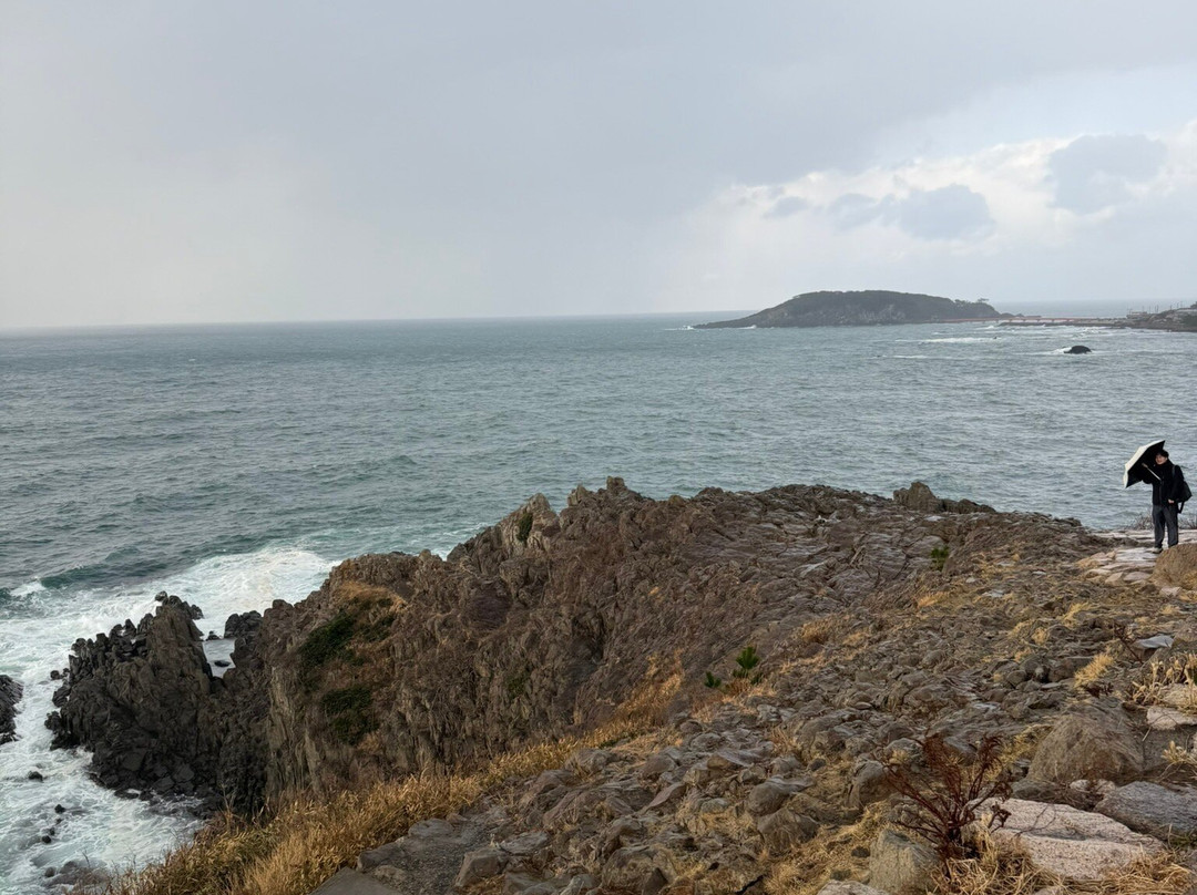 Tojimbo Cliff-坂井市必去景点