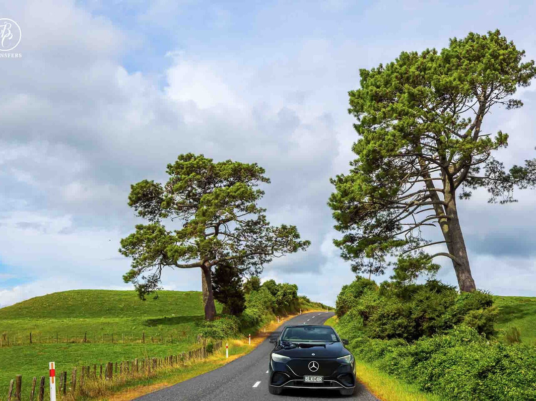 Black Car Transfers & Tours-奥克兰中心地区必去景点