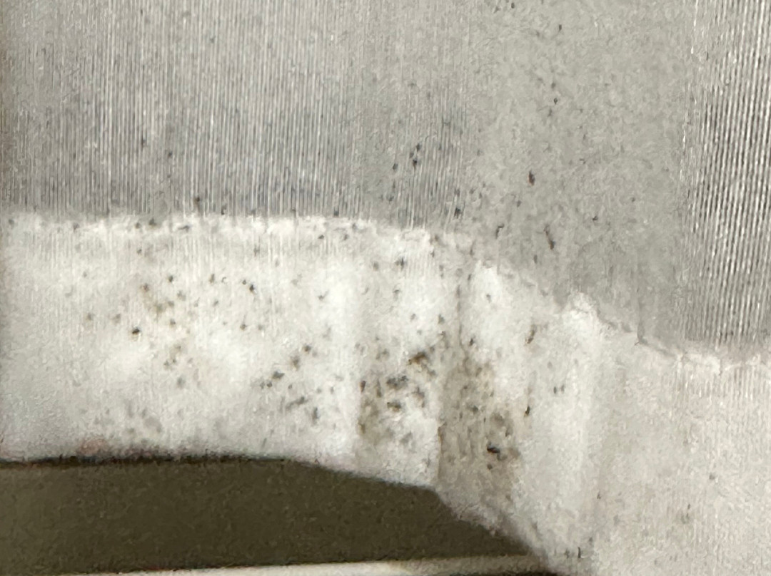 Best Western Luxbury Inn Fort Wayne主图