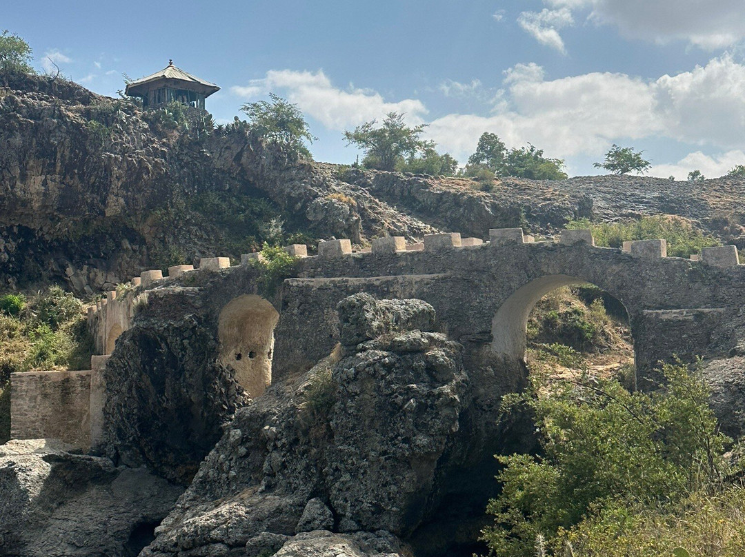 Liyu Ethiopia Tours-亚的斯亚贝巴必去景点