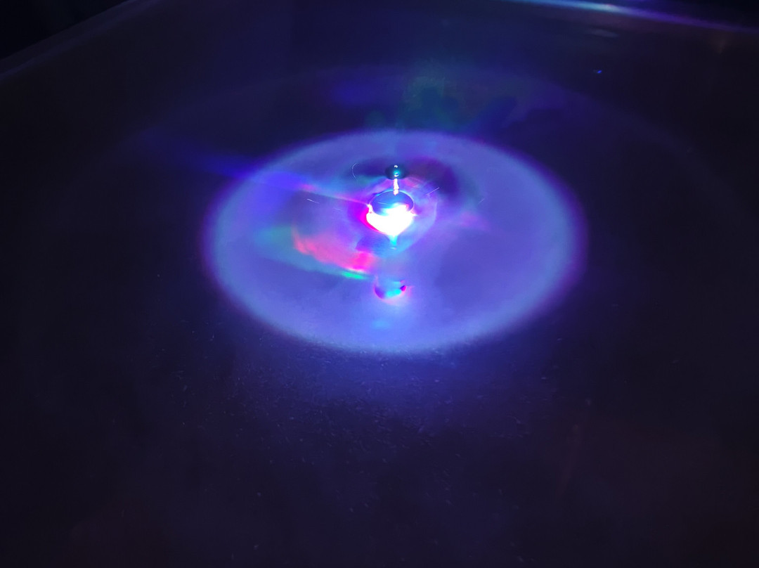 New Art Foundation-雷乌斯必去景点