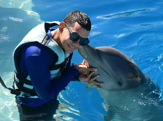 Dolphin Discovery Punta Cana-Higuey必去景点