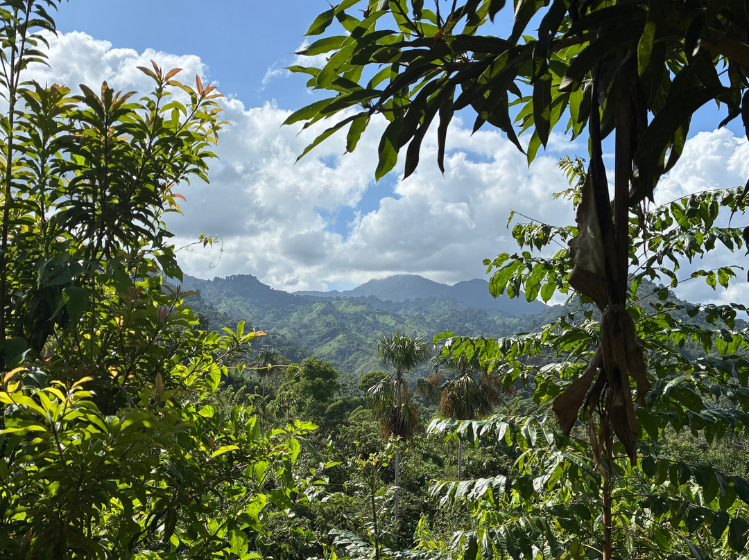 Teyuna Tours-圣玛尔塔必去景点
