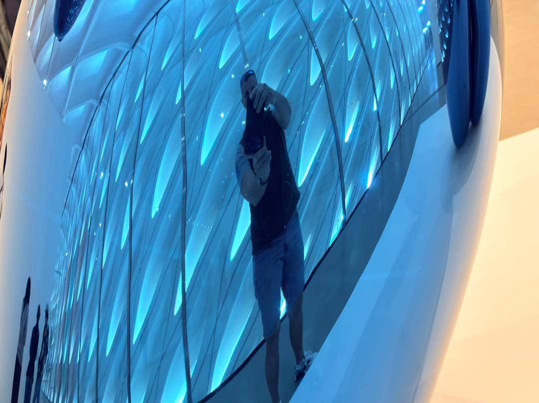 布洛德艺术博物馆-洛杉矶必去景点