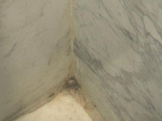 The Avenue Hotel主图