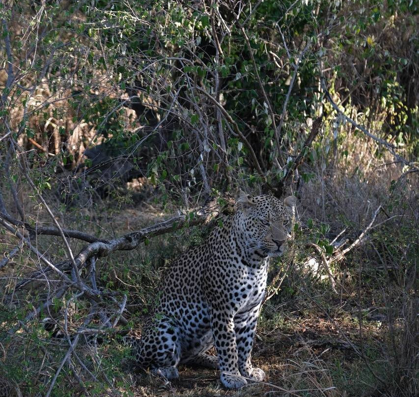 Mufasa Tours and Travels-内罗毕必去景点