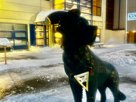 Bamse statue-霍宁斯沃格必去景点