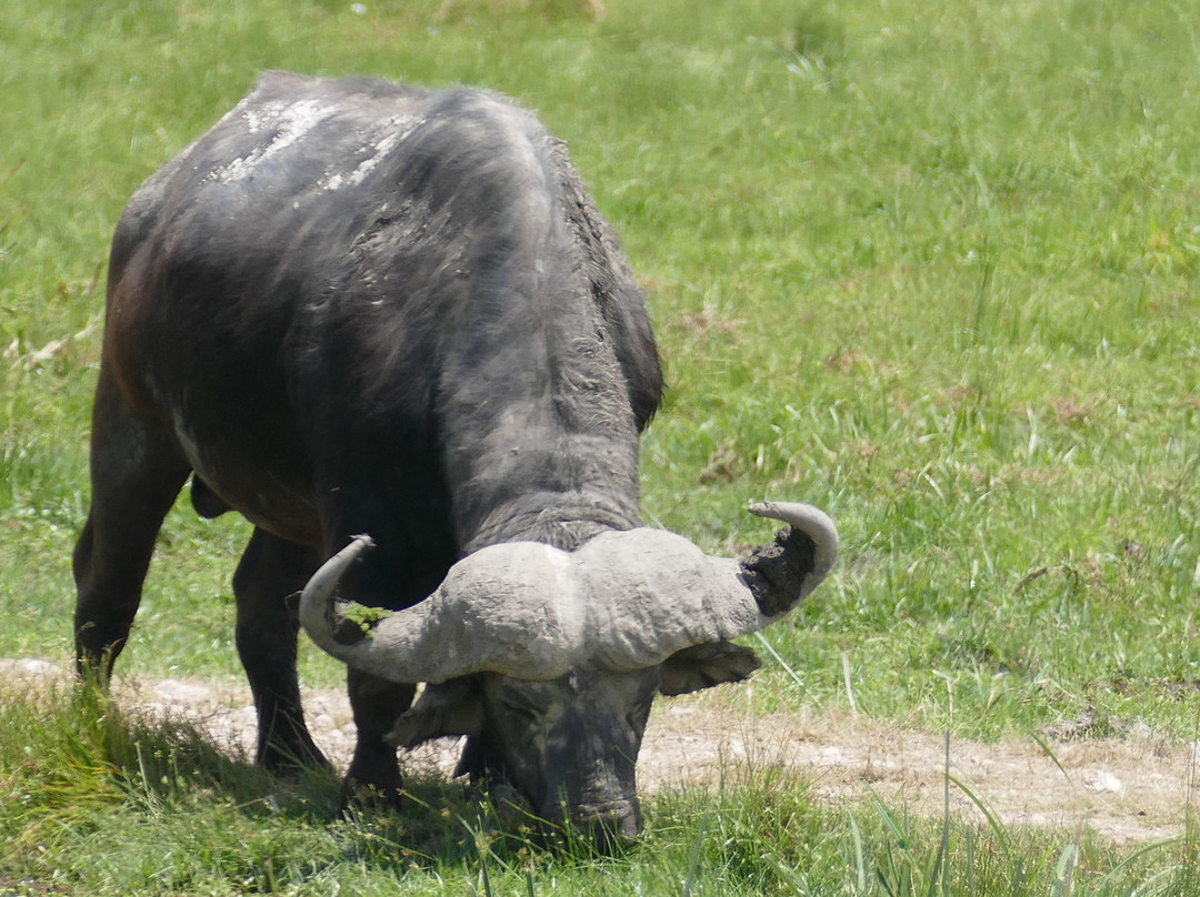 Dida Tours and Safaris-山祖必去景点
