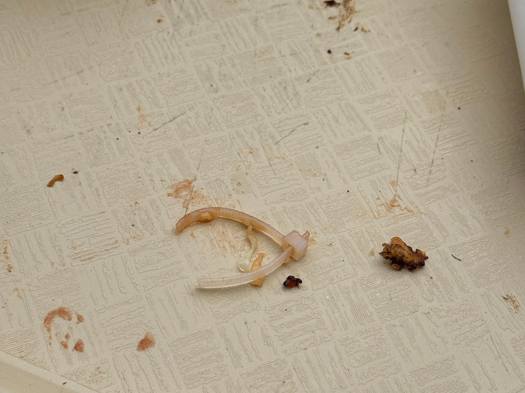 Aquanor-圣丹尼必去景点