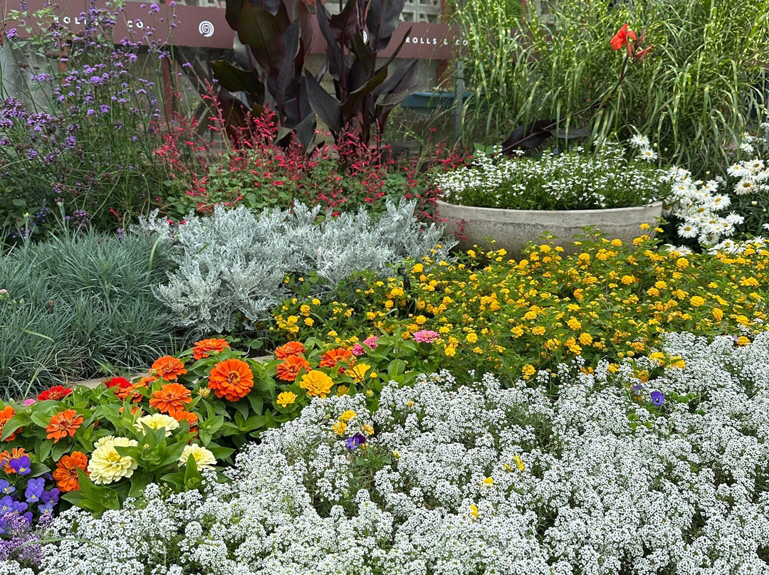 Floricultura Úrsula-Nova Petropolis必去景点