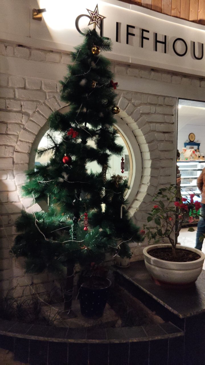 温妮假日酒店-官方