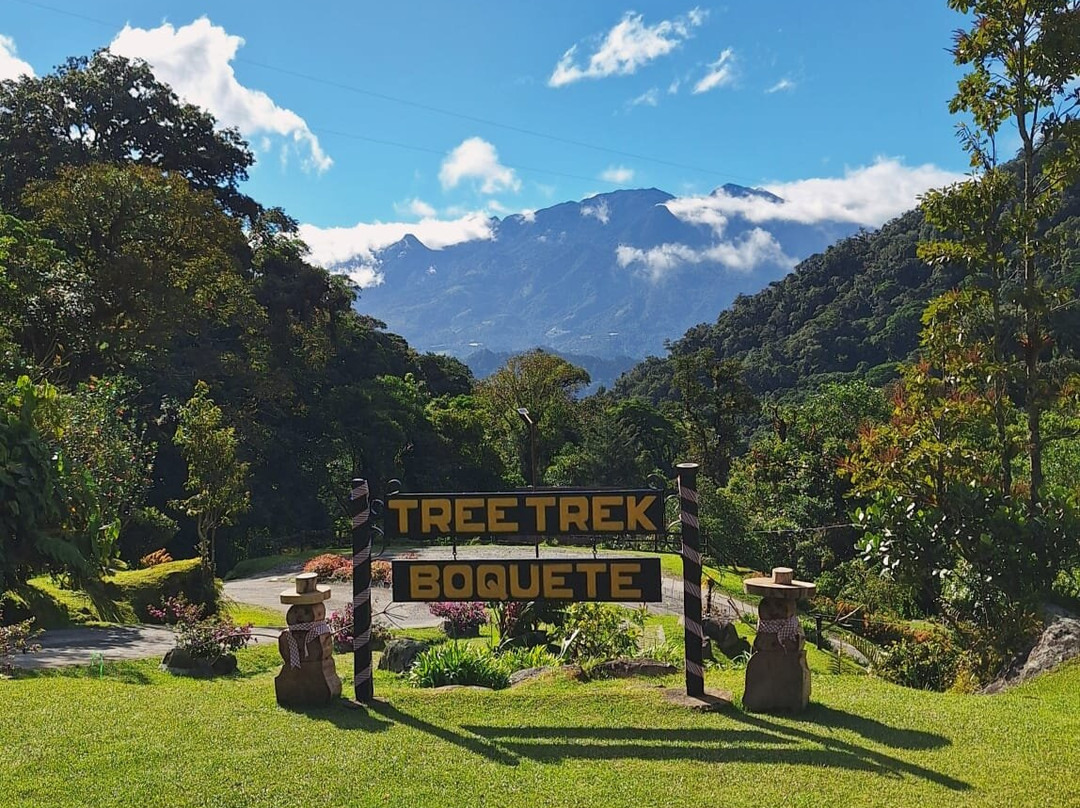Tree Trek Boquete-波魁特必去景点