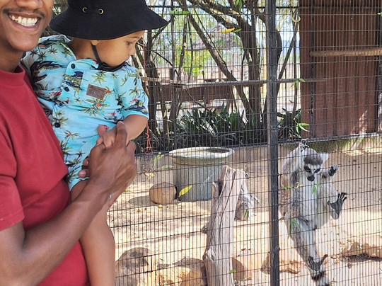 Giraffe House Wildlife Awareness Centre-斯泰伦博斯必去景点