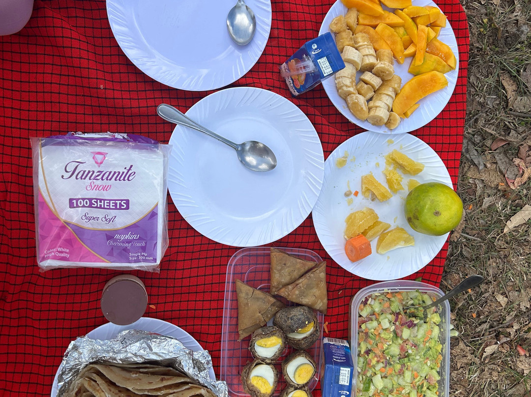 Usambara Eco Tours-卢绍托必去景点