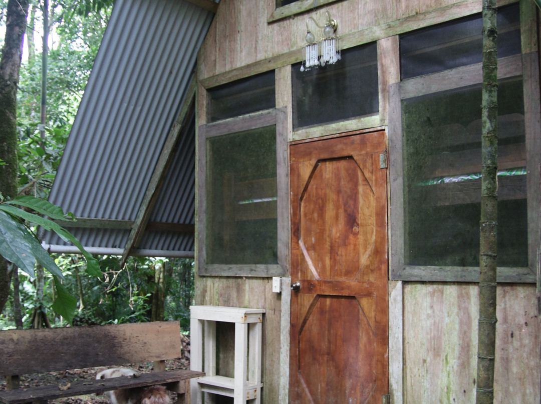 Green Acres Chocolate Farm and Nature Preserve-Cerro Brujo必去景点