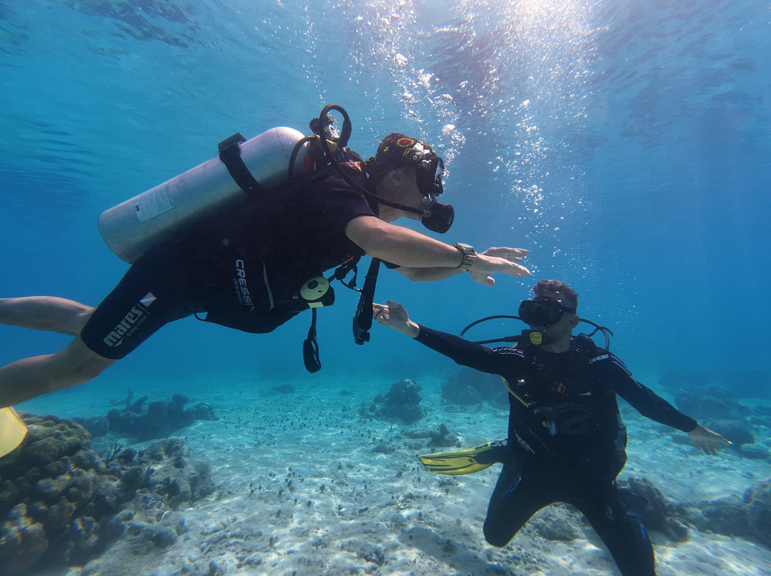 Varadero Diving Tour-Playa Larga必去景点