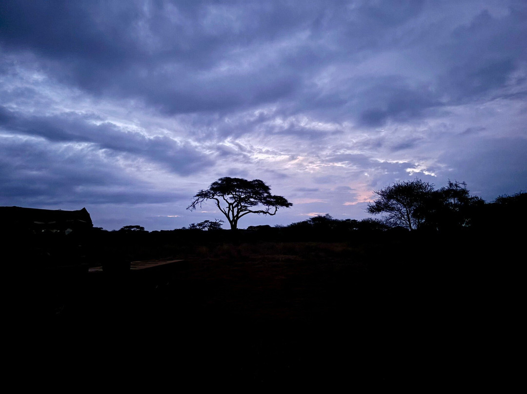 Kilimanjaro Balloon Safaris-安博塞利国家公园必去景点