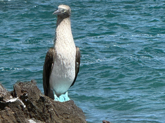 The Wall of Tears-维里亚米尔港必去景点