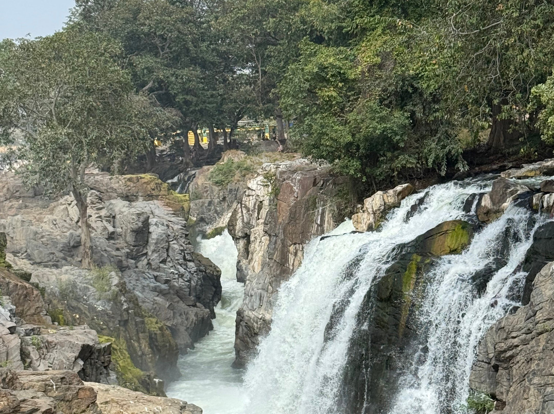 Hogenakkal Falls-Hogenakkal必去景点