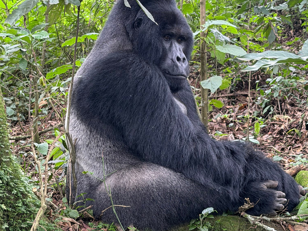 BUGOLI ADVENTURES LIMITED-卡巴莱必去景点