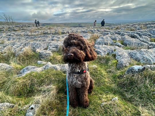 马勒姆和戈代利峡谷-Malham必去景点