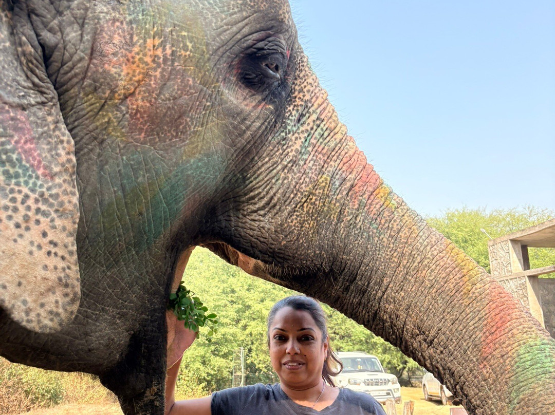 Elefanjoy Elephant Sanctuary-斋蒲尔必去景点