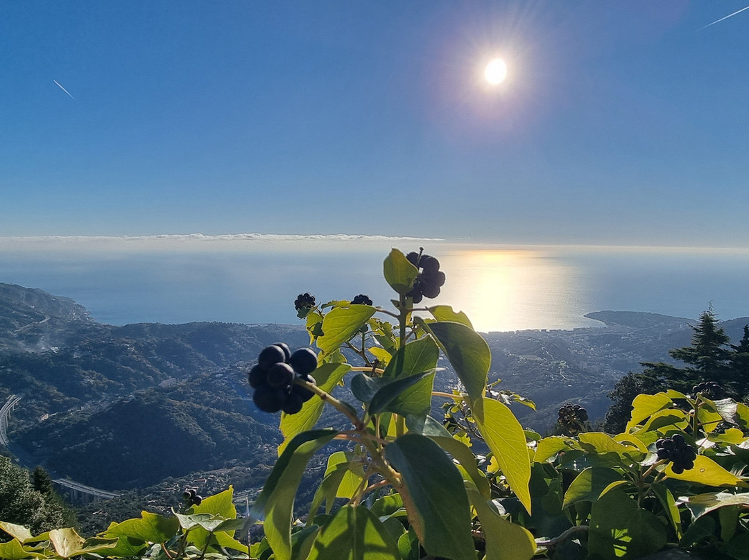 Chateau Et Jardin Medieval-Sainte-Agnes必去景点