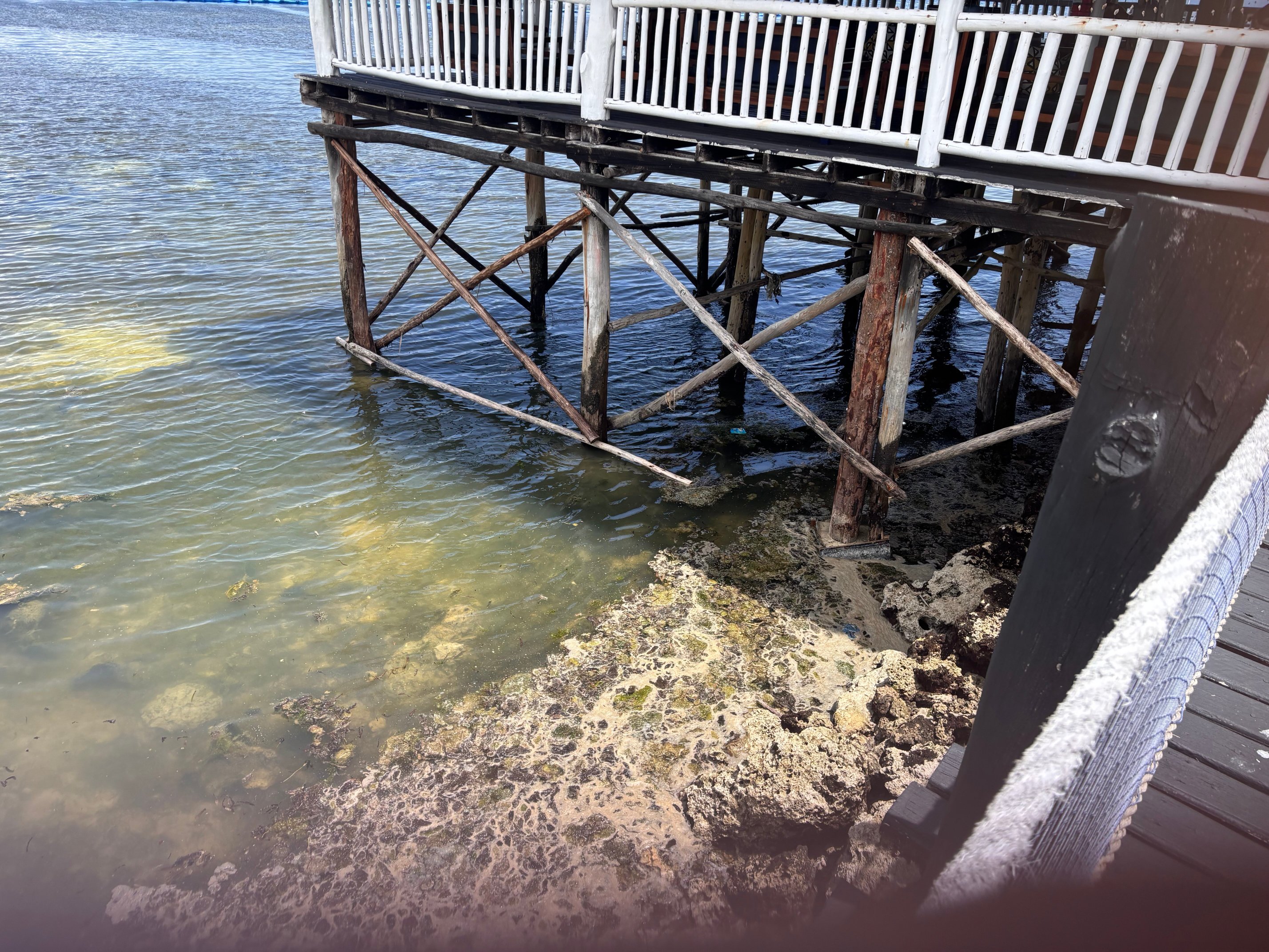 桑给巴尔海滩度假酒店-泳池