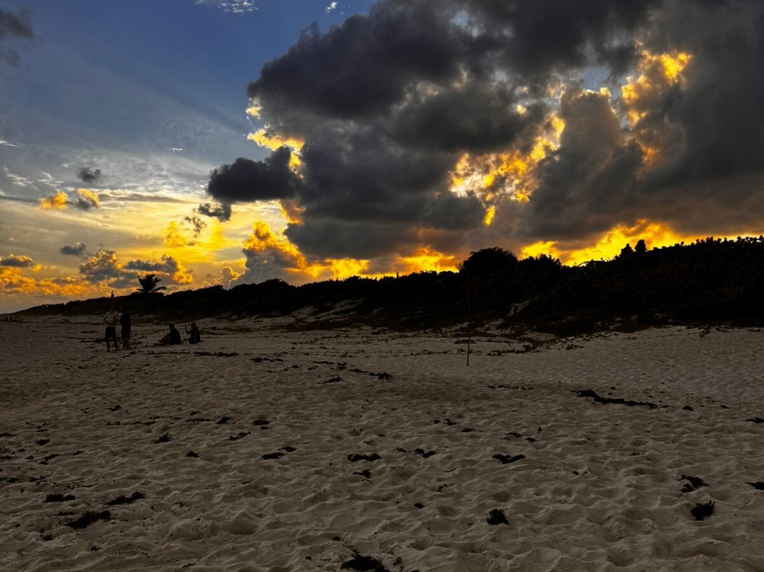 Playa Pública San Martín-考祖梅必去景点