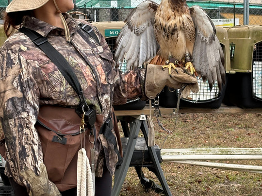 International Falconry Academy-Live Oak必去景点