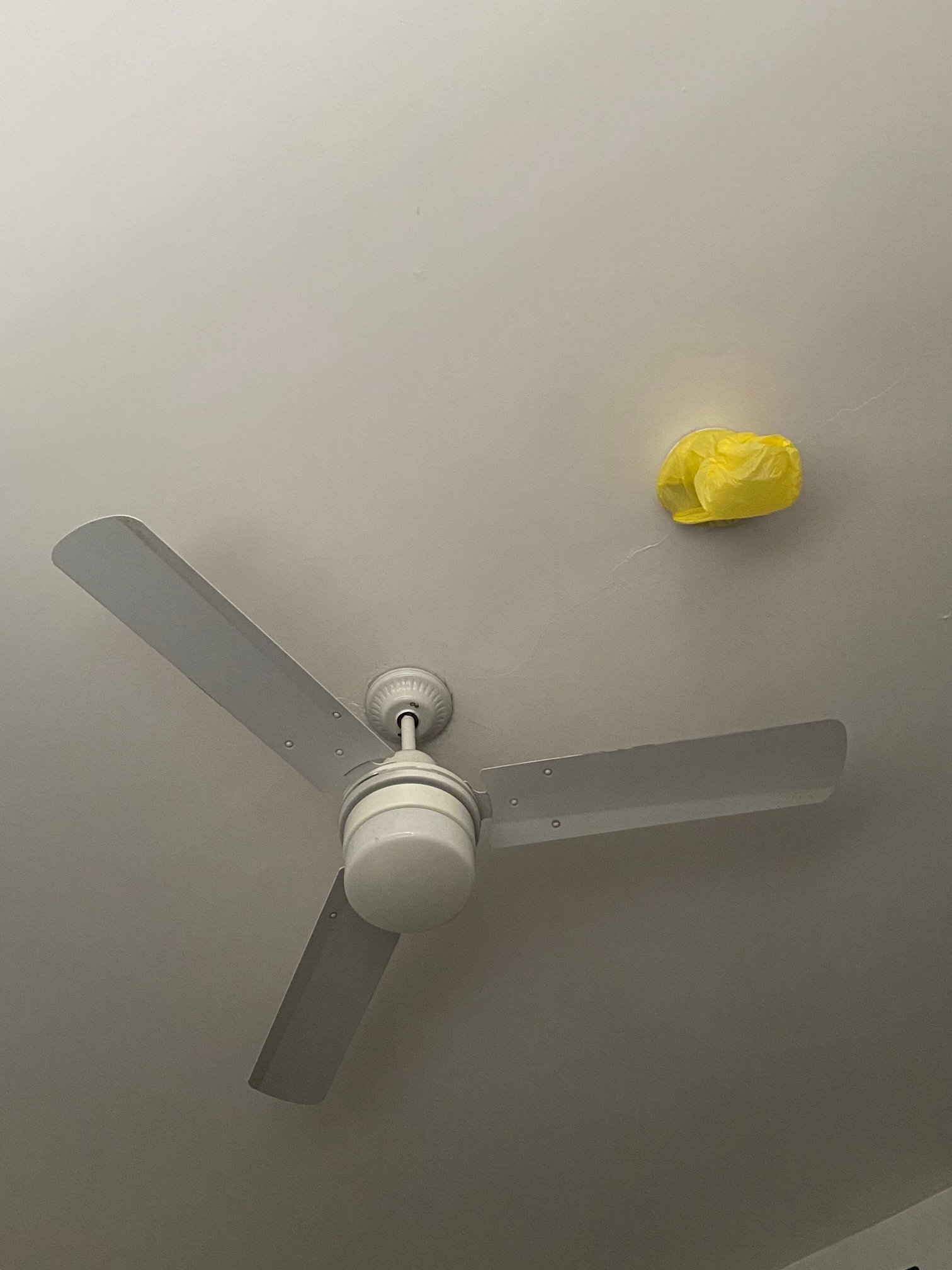 The Roundabout Inn-官方