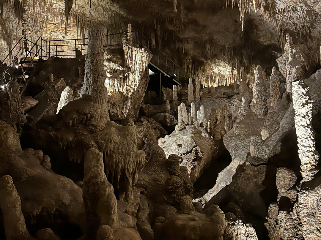 Mammoth Cave-Boranup必去景点