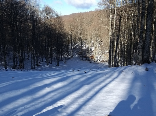 Ivy Tour-马拉泰亚必去景点