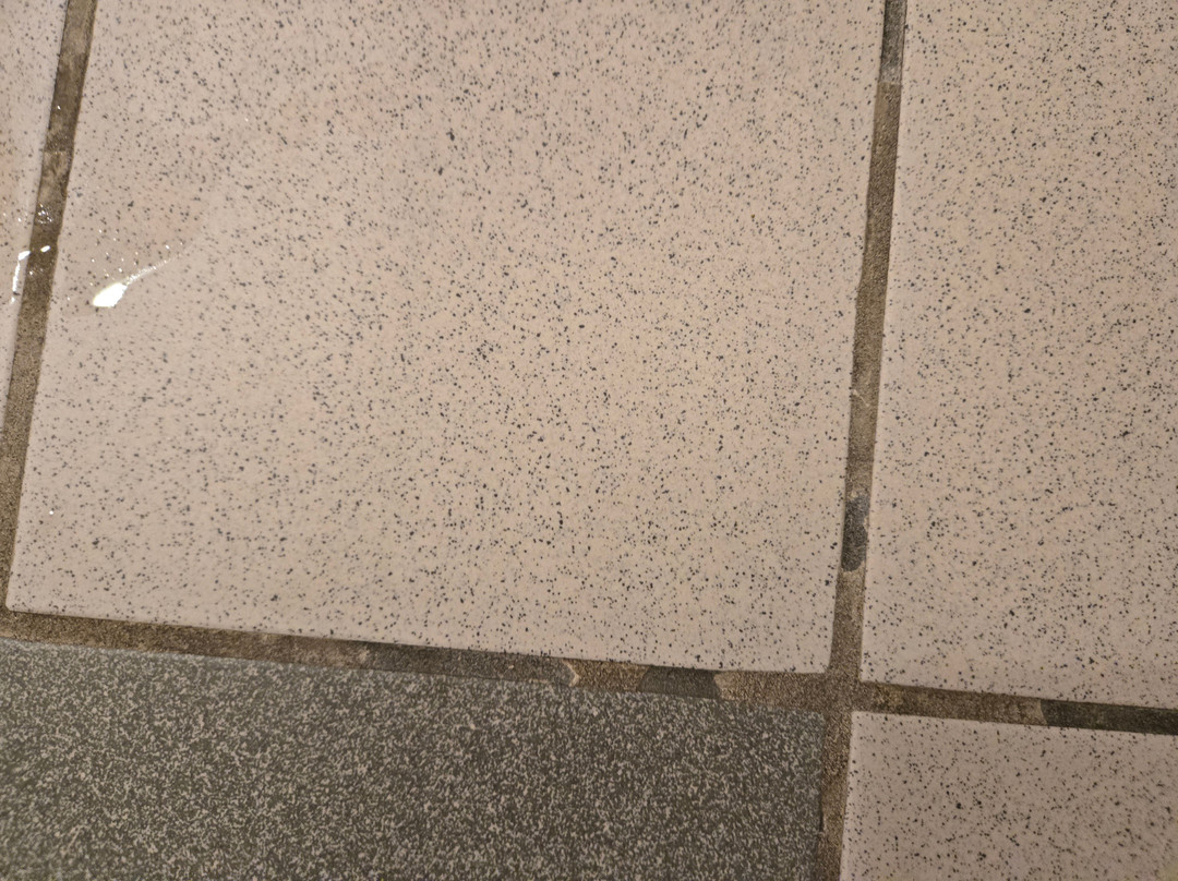 Holiday Inn Express & Suites Columbus OSU-Medical Center by IHG主图