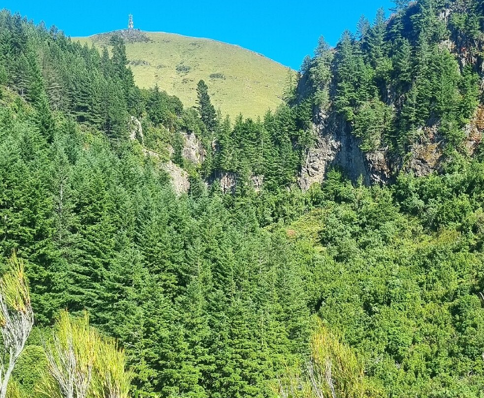 Washpen Falls-Darfield必去景点