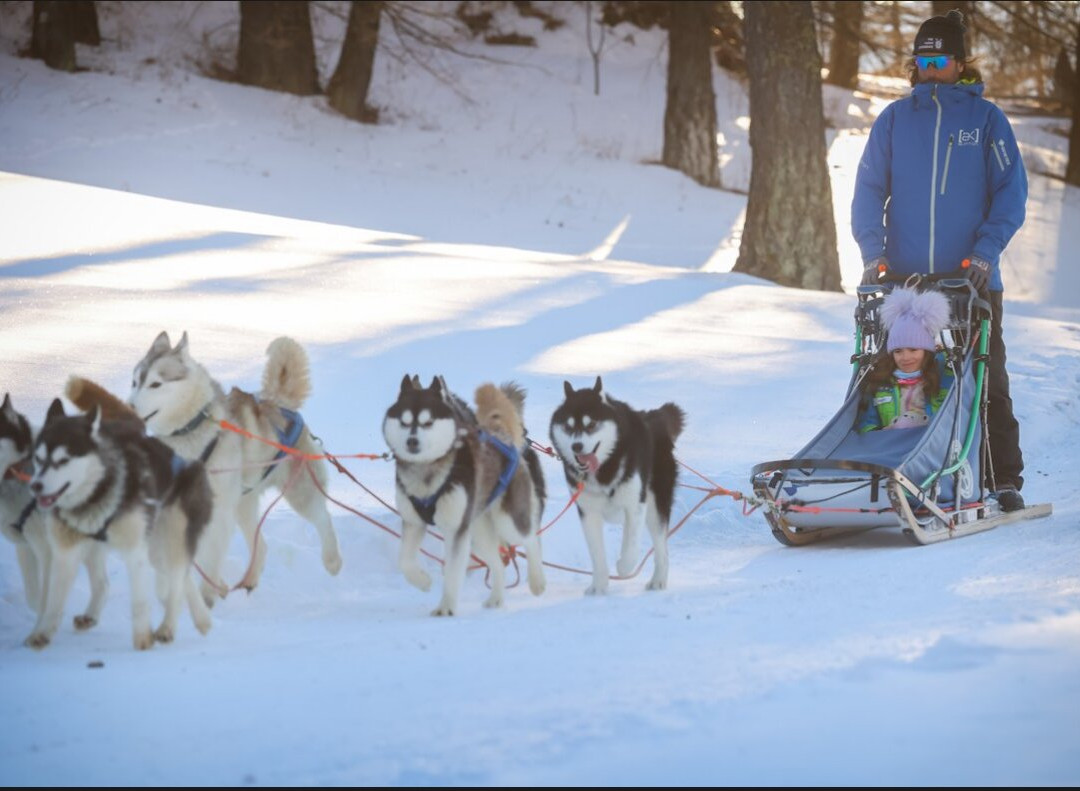 The Husky Experience Sestriere-Sestriere必去景点