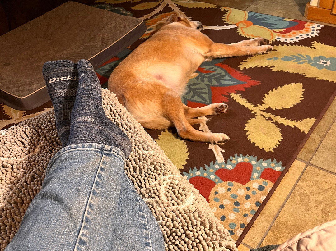 O-Bar-O Cabins主图